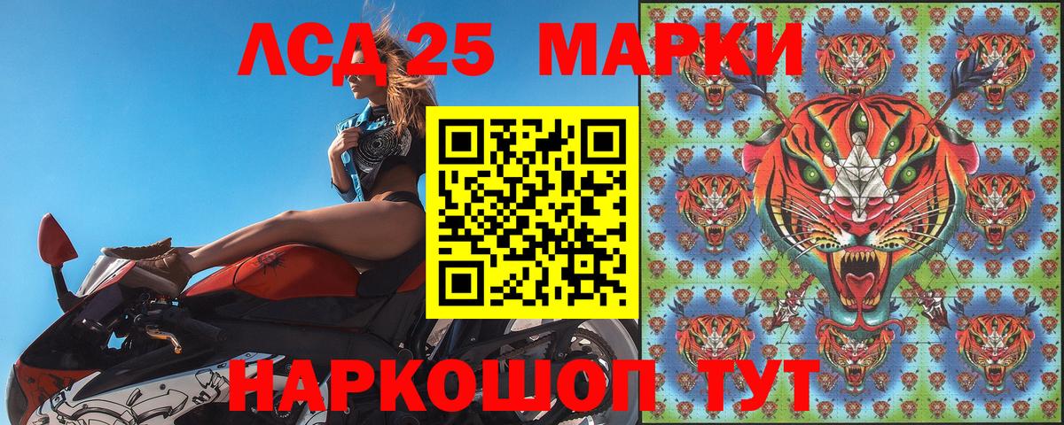 Наркотические марки 1500мкг  Вход с VPN  Наркотические марки 1500мкг  Зерноград 
