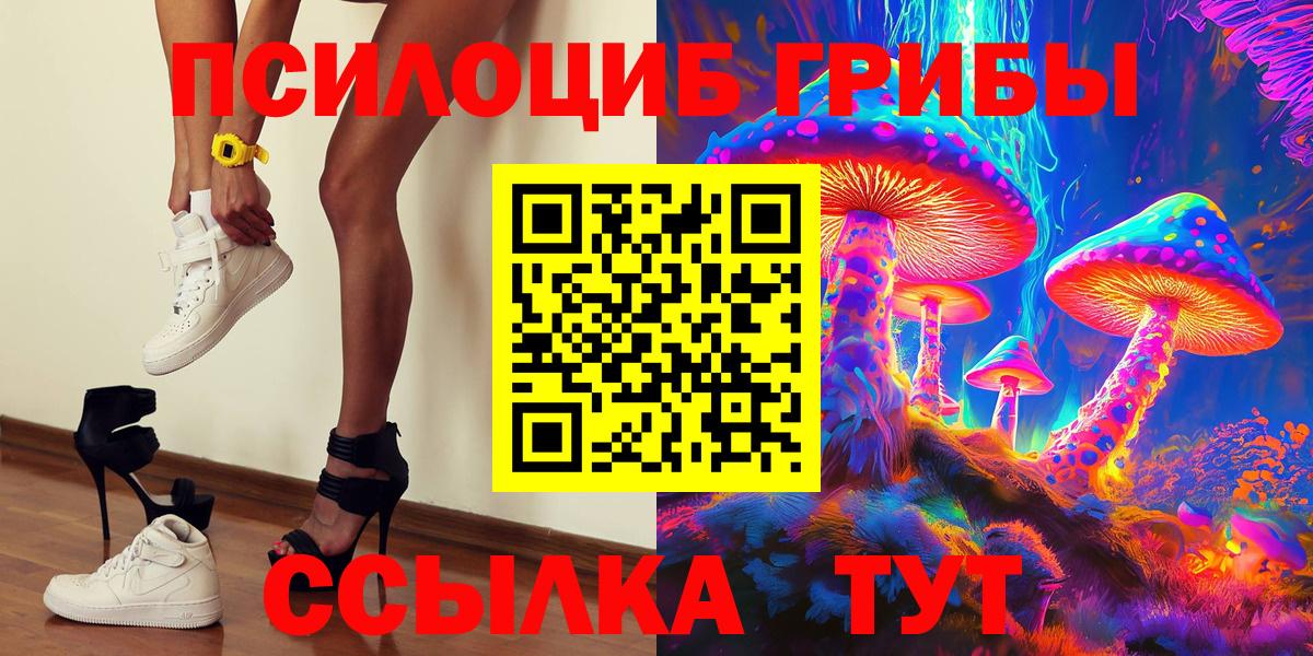 Псилоцибиновые грибы Psilocybe  Вход с VPN  Зерноград 