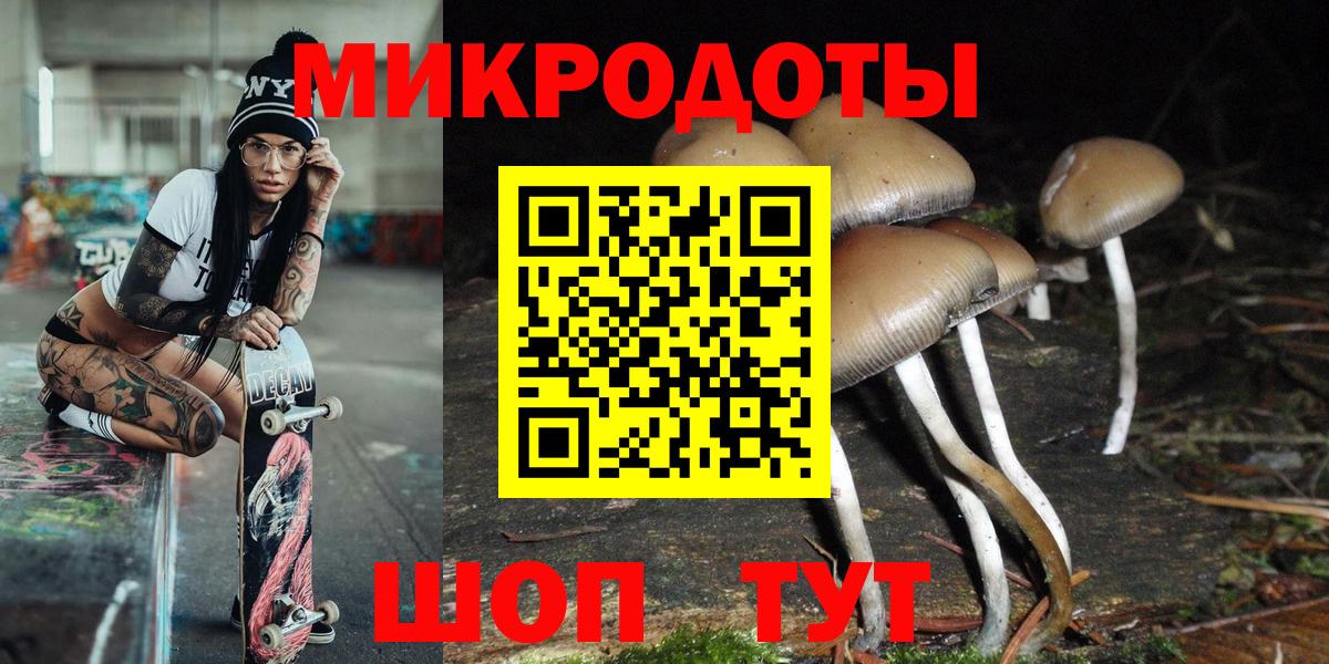 Псилоцибиновые грибы Psilocybe Зерноград
